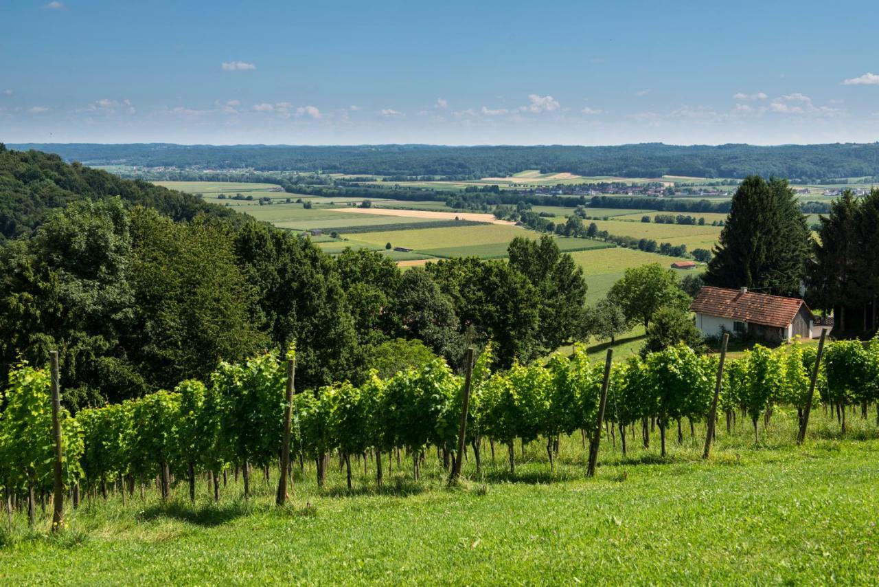 Ferienhaeuser Im Weingarten Fehring Exterior photo